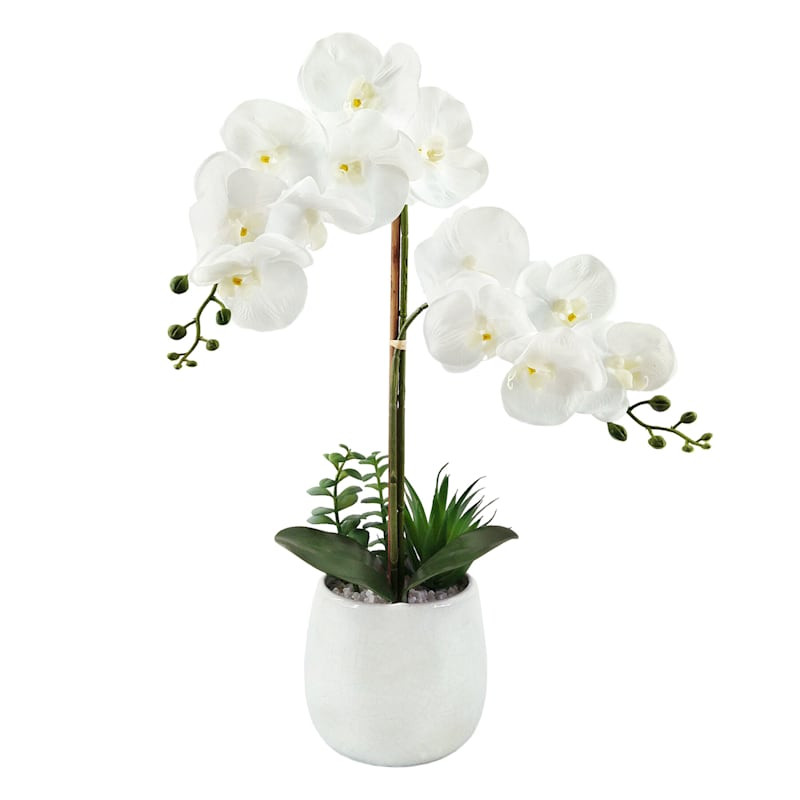 White Orchid Flower with Ceramic Planter, 23" | At Home
