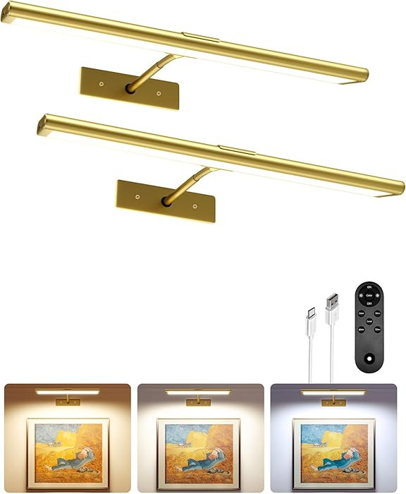 EZVALO Picture Light for Wall, 4800mAh Rechargeable Wireless Remote, Dimmable Magnetic LED Art Di... | Amazon (US)