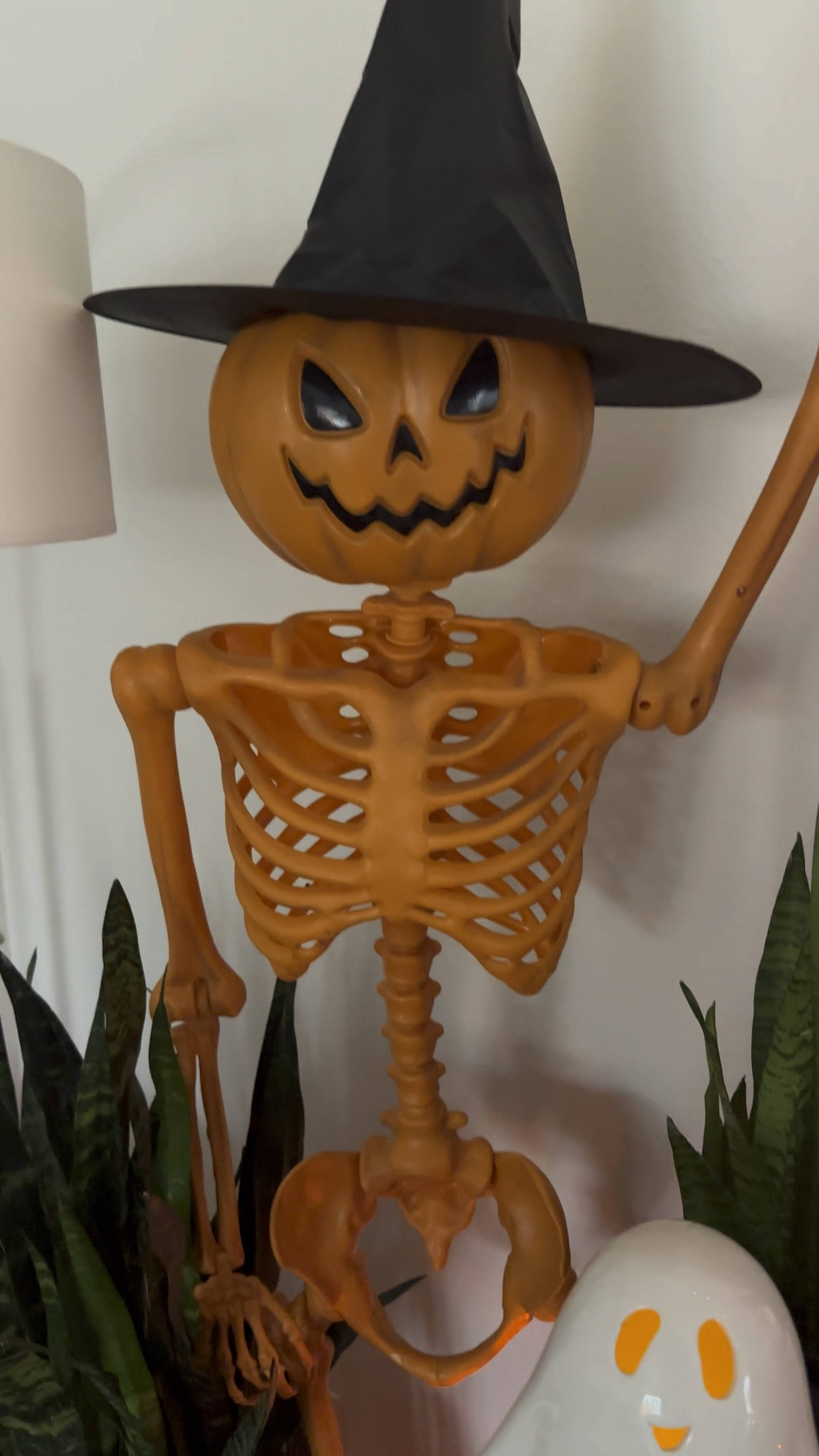 Spooky Halloween

#LTKHoliday #LTKHalloween #LTKSeasonal