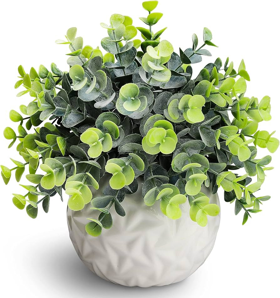 Hopewood Fake Plants Indoor Small Artificial Eucalyptus Plants in White Pots for Bedroom Home Dec... | Amazon (US)