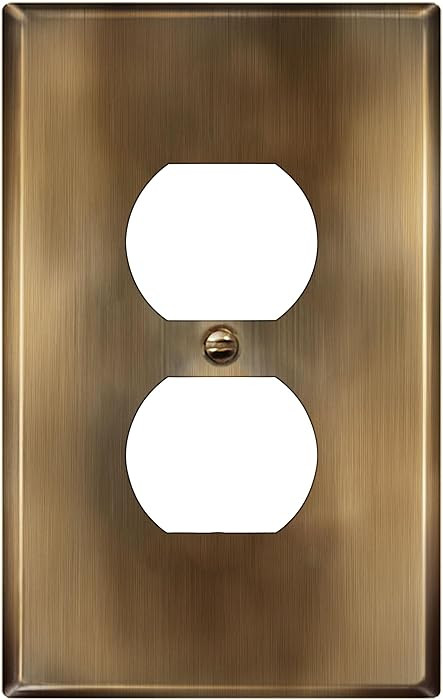 LIDER Duplex Receptacle Metal Wall Plate, Stainless Steel Outlet Cover, Corrosion Resistant, Mid-... | Amazon (CA)