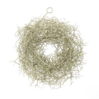 5ft. Gray Spanish Moss Halloween Coil Garland by Ashland® | Michaels | Michaels Stores