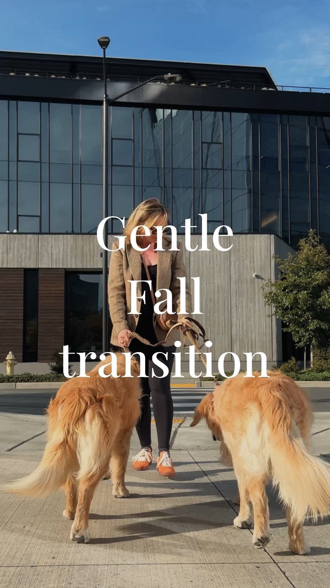 Transitional outfit idea: perfect for early Fall. 
Wearing Polo Ralph Lauren Heritage herringbone blazer + H&M maternity leggings + merino wool tank top (from Amazon) + Lacoste baseshot sneakers. Crossbody bag: Madewell carabiner (on sale rn).

#LTKFindsUnder100 #LTKSeasonal #LTKVideo