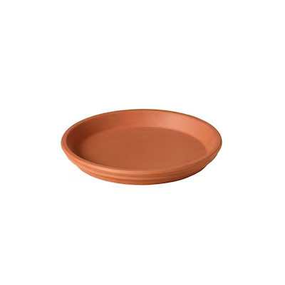 5.91-in Terracotta Clay Plant Saucer Lowes.com | Lowe's
