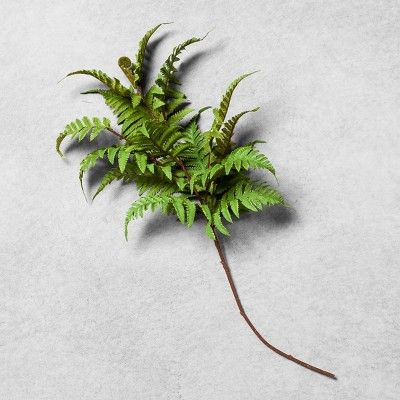 Faux Fern Stem - Hearth & Hand™ with Magnolia | Target
