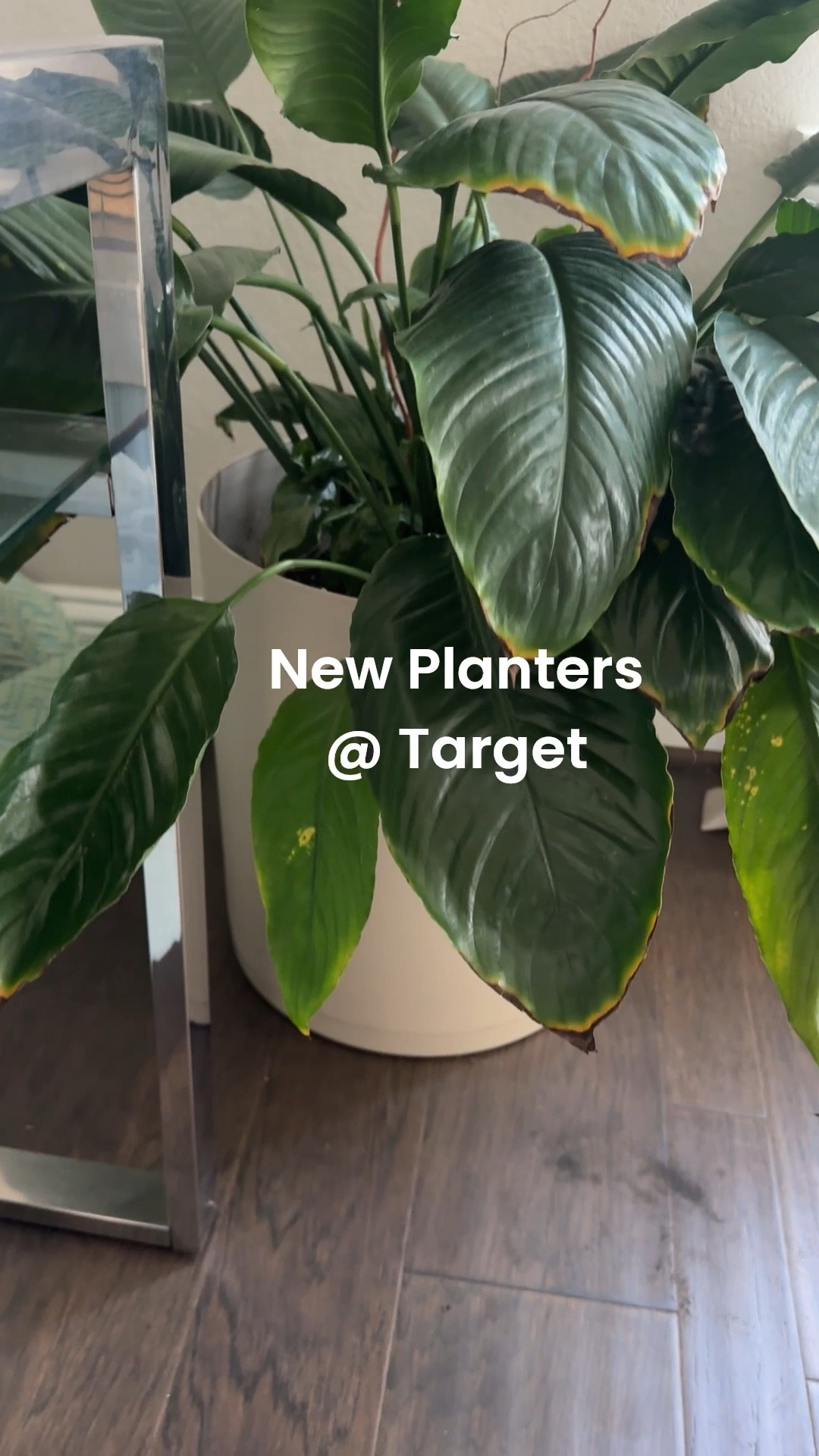 Spring is here! It’s time to get some fresh plants and flowers potted! Check out this gorgeous planter collection at Target! 


#LTKHome #LTKSeasonal