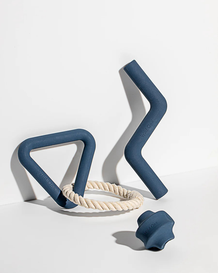 Dog Toy Set | Wild One | Wild One