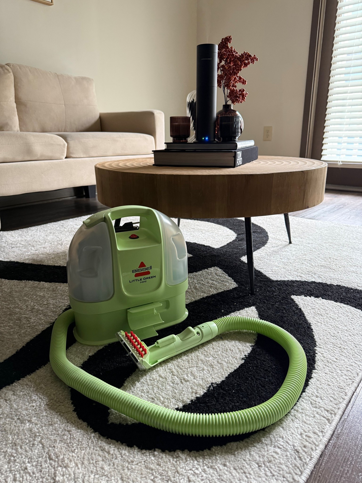 My holy grail for keeping my home spotless 🤍 The Bissell Little Green Machine is a must-have for cleaning couches,  and rugs.


 #HomeFinds #CleanWithMe #LTKHome #BissellLittleGreen


#LTKFindsUnder100 #LTKHome #LTKSaleAlert