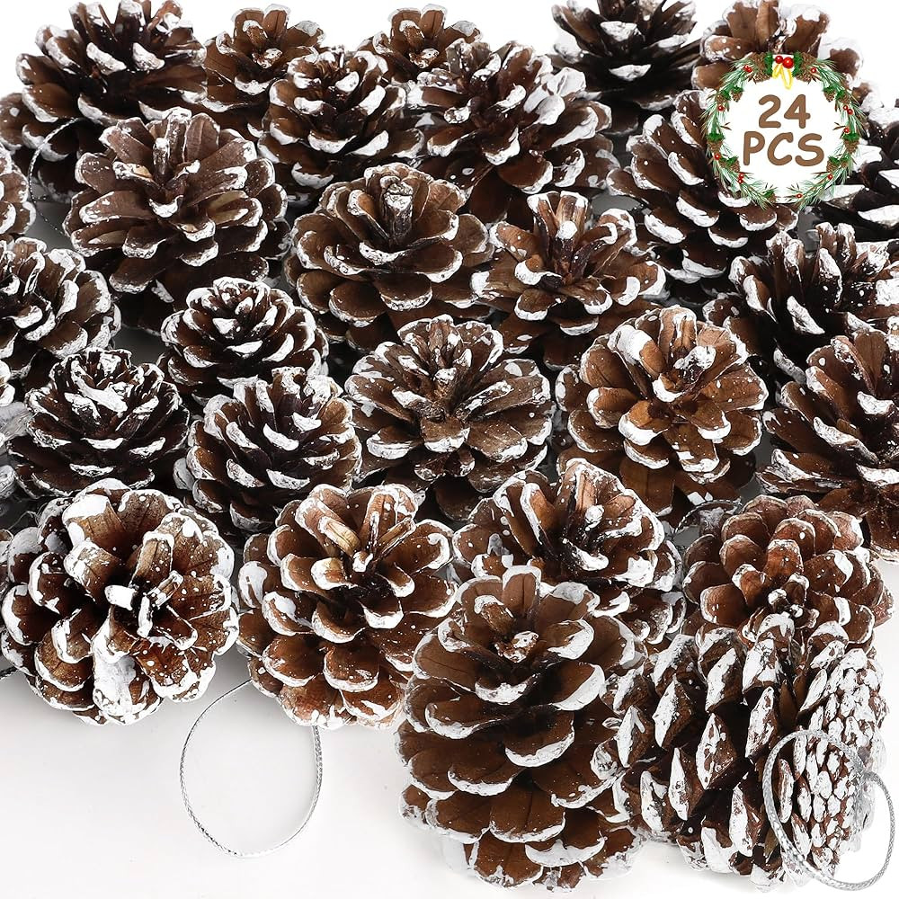 Amazon.com: 24 PCS Natural Pine Cones, 1.96 in Pinecone Ornaments, Pine Cones for Crafts with Sli... | Amazon (US)
