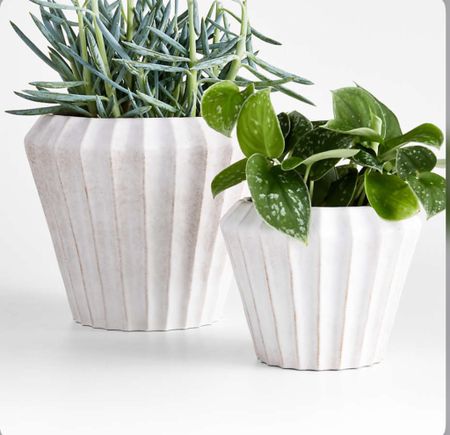 This cute planter is on clearance. Run. Love the texture

Organic modern planter / white planter / 

#LTKHome #LTKSaleAlert
