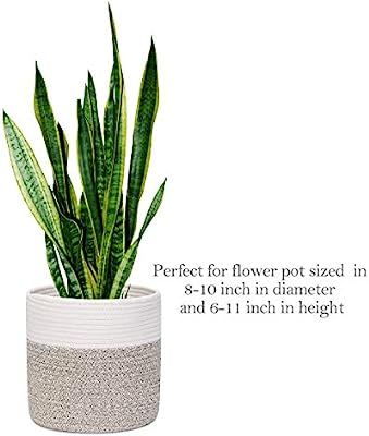 Cotton Rope Plant Basket for Flower Pot, Floor Indoor Planter Woven Basket Storage Basket Organis... | Amazon (US)