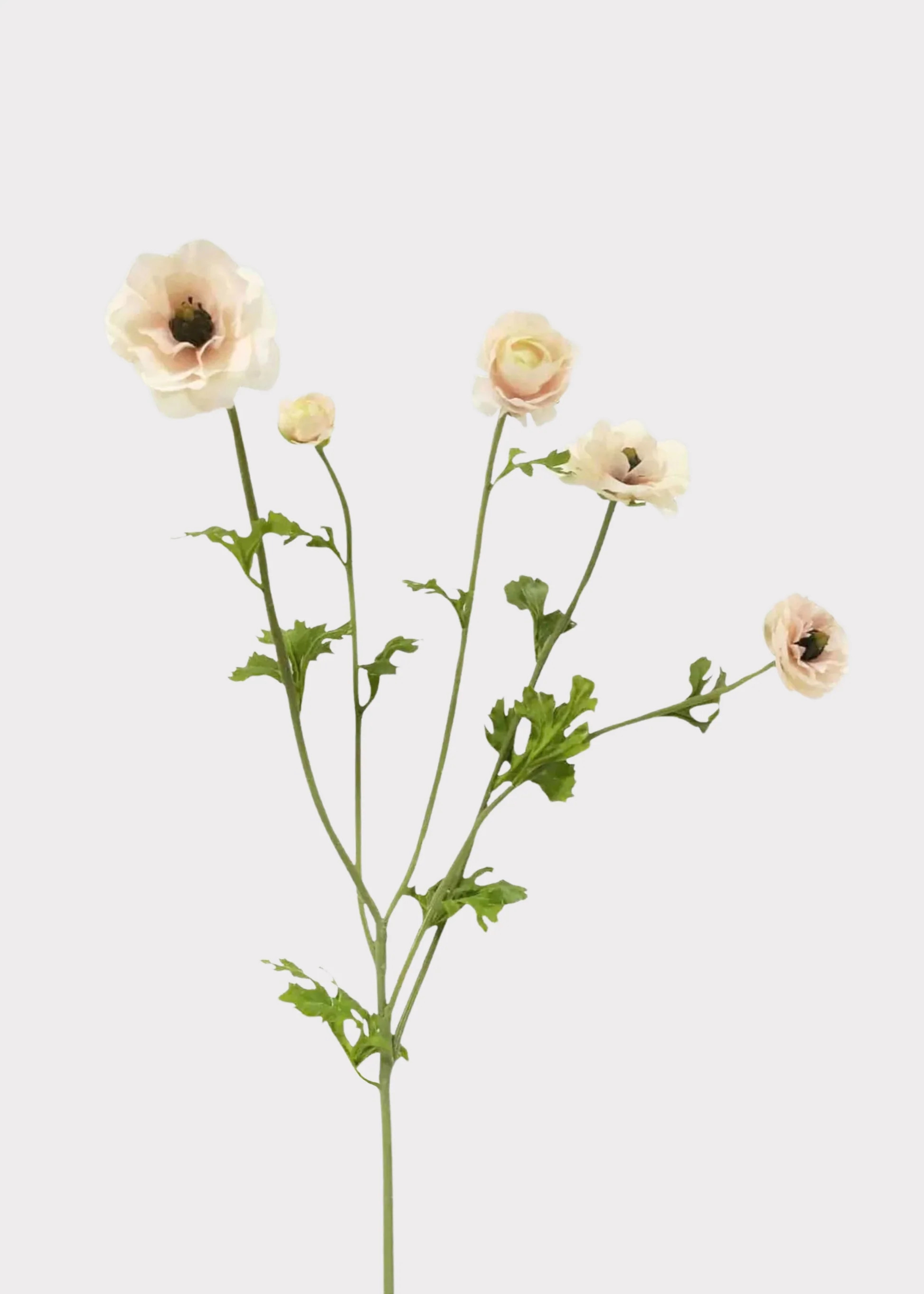 Light Cream Faux Ranunculus Flowers | Fake Flowers at Afloral | Afloral