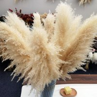 Super Fluffy , 5 Stems , 45 In, Super Fluffy, Pampas Grass -Natural & Dry Grassland Decoration, Wedd | Etsy (US)