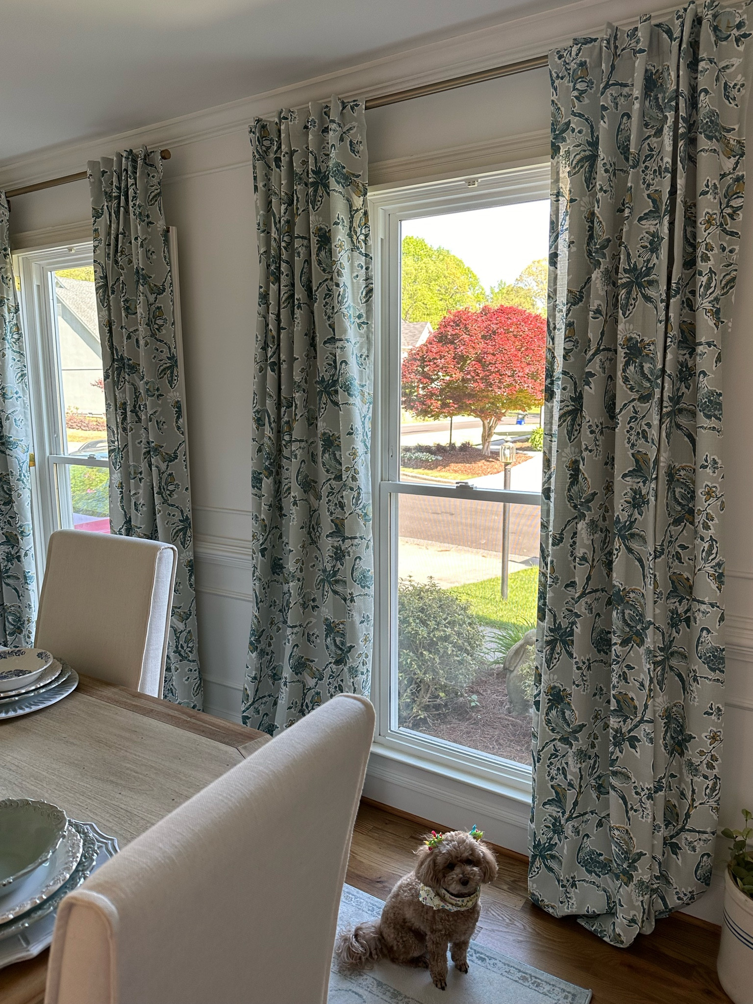 Inspired by our favorite curtains in my dining room! I hope we come across these exact ones soon but until then, these options are so beautiful!

#LTKfindsunder100 #LTKfindsunder50 #LTKhome