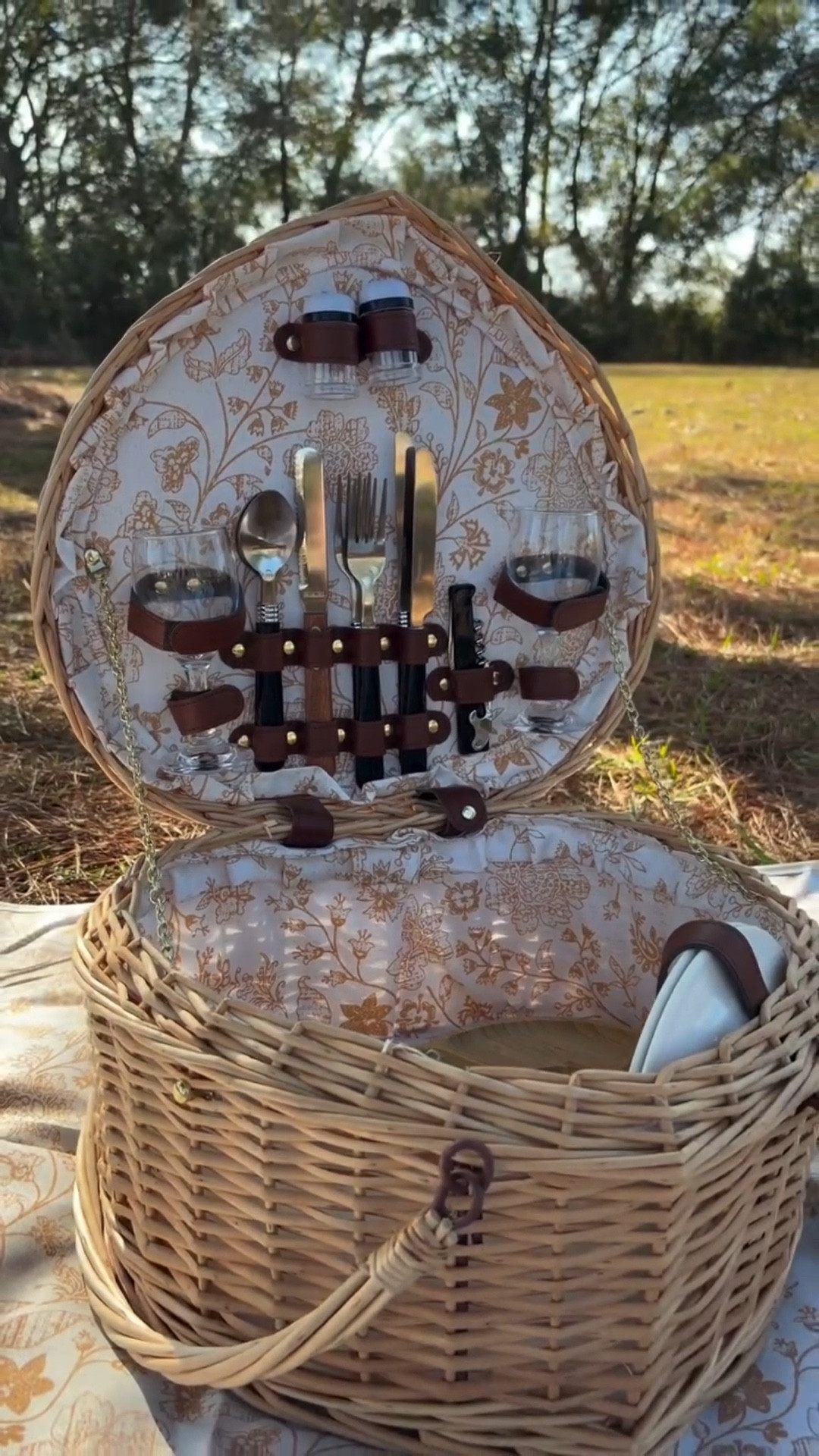 
The perfect picnic date set up #picnicbasket #picnicdate
#valentinesdayideas #ValentinesDay

#LTKselfcare #LTKfoodie #LTKSeasonal