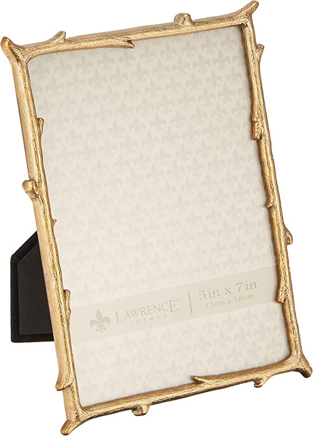 Lawrence Frames 712557 5x7 Gold Metal Natural Branch Design Picture Frame | Amazon (US)