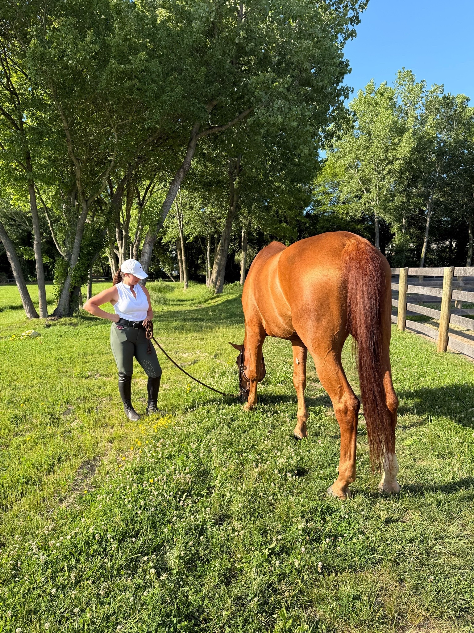 The best summer riding tops

#LTKdayinmylife #LTKfitnessgoals