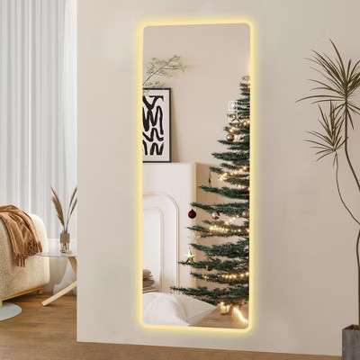 PAGED 65"x21" Rectangle Full Length Mirror,Wall-Mounted Full Body Mirror with LED Light,Suitable for Bedroom,Living Room,Clear | Target