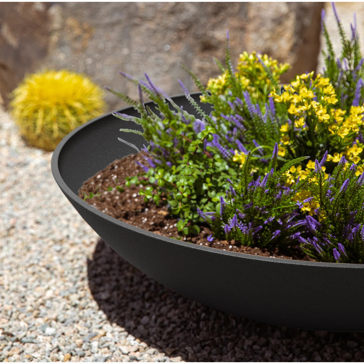 Pure Series Lane Weather Resistant Bowl Planter | Wayfair North America