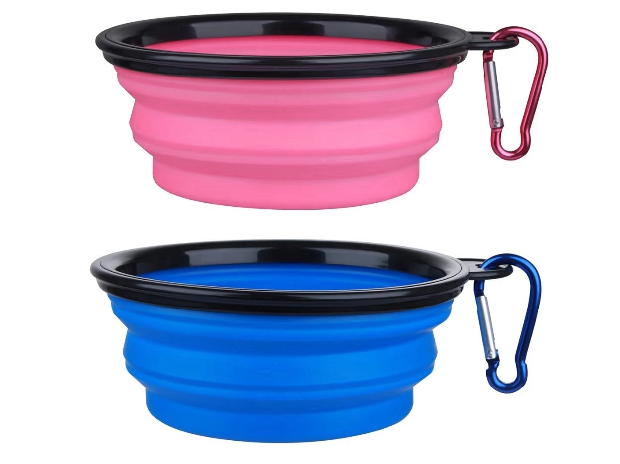 2 pack collapsable water bowl from Amazon

#LTKmomlife #LTKFindsUnder50