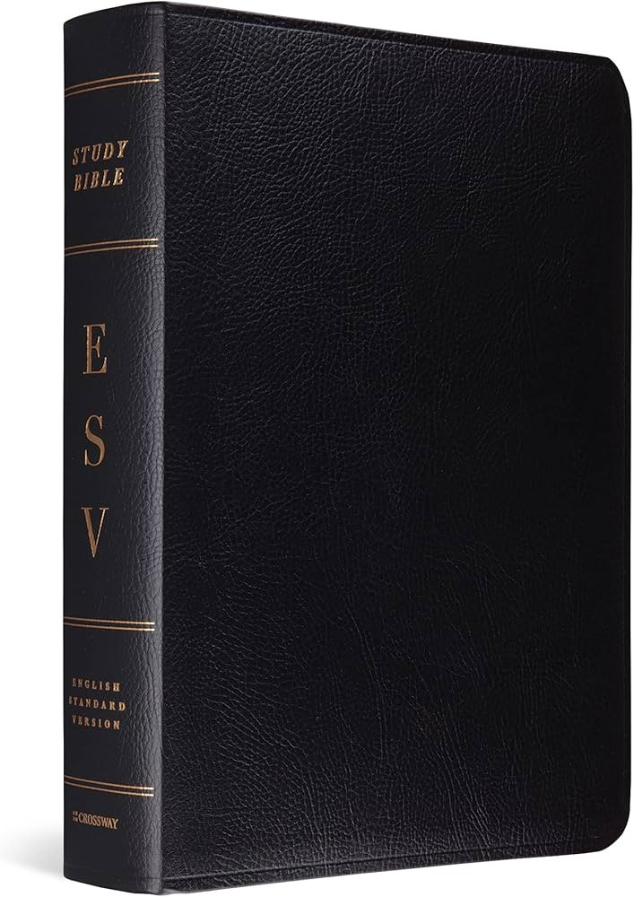 ESV Study Bible (Bonded Leather, Black) | Amazon (US)