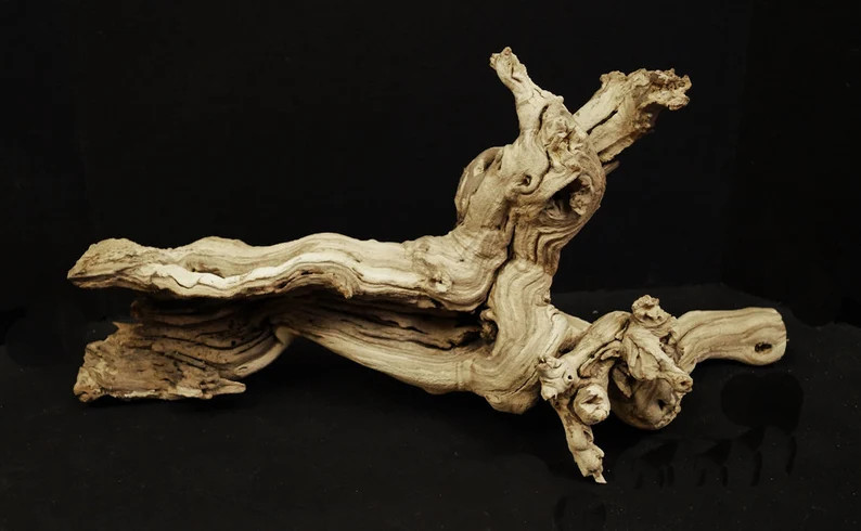 Exotic Grapewood 24 - Etsy | Etsy (US)