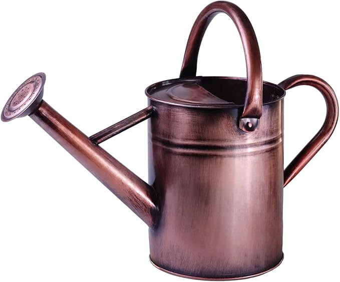 Metal Watering Can for Outdoor Plants, 1 Gallon Galvanized Steel Watering Can with Removable spou... | Amazon (US)