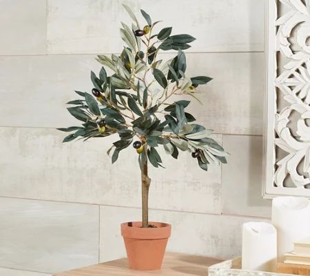24" Faux Tabletop Olive Tree in Pot by Valerie | QVC