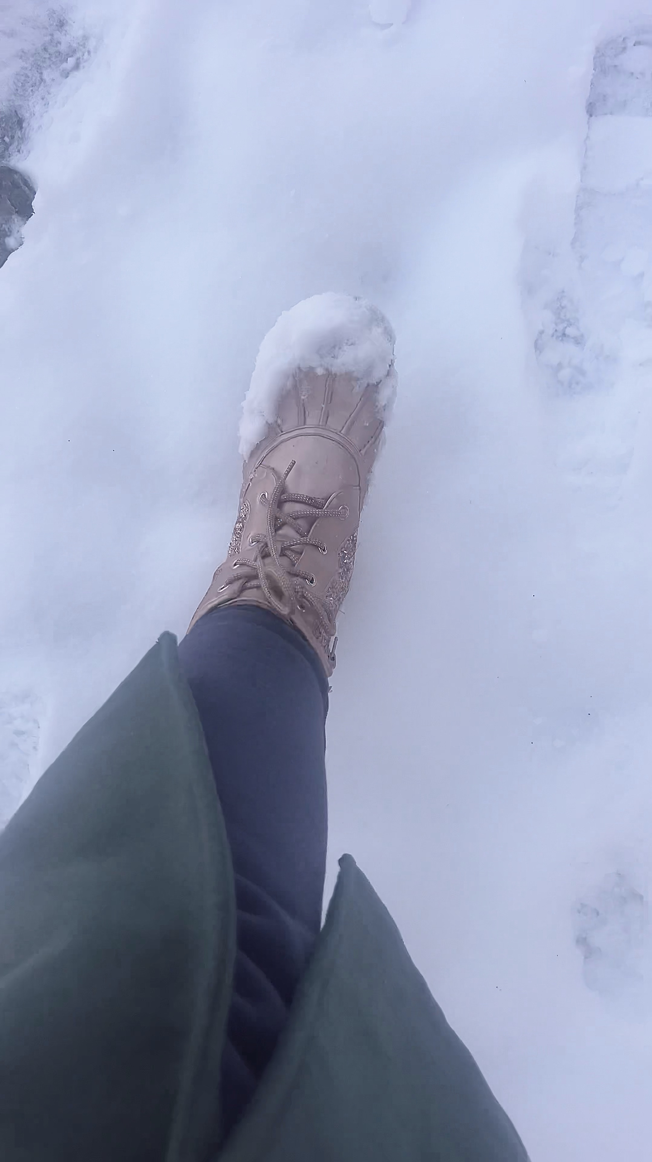 Florida snow! Wearing these glitter gold snow boots from E’s closet 

#LTKFamily #LTKSeasonal #LTKTravel