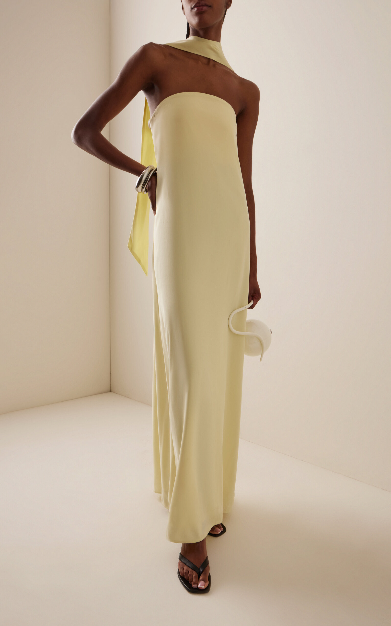 Bia Strapless Maxi Dress | Moda Operandi (Global)