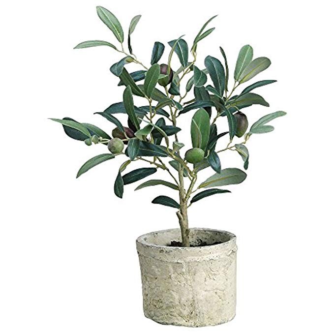 Olive Tree Green Plastic Potted- 12"H | Amazon (US)