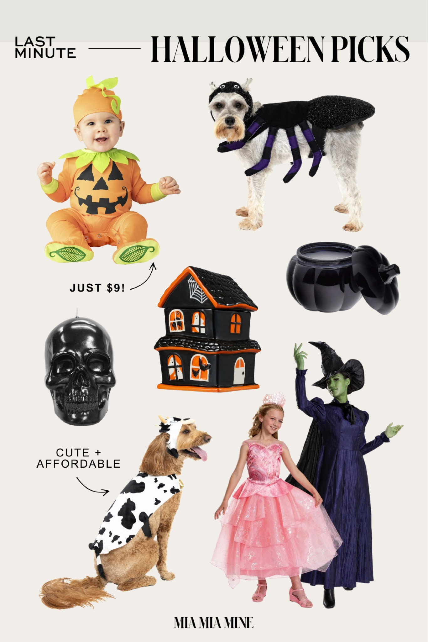 Last minute halloween picks via @walmart #WalmartPartner 
Baby Halloween pumpkin costume 
Dog Halloween costumes 

#LTKHalloween #LTKFindsUnder100 #LTKFindsUnder50