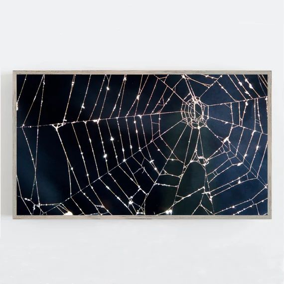 Halloween Samsung Frame TV Art Spider Web Wall Art Spooky - Etsy | Etsy (US)