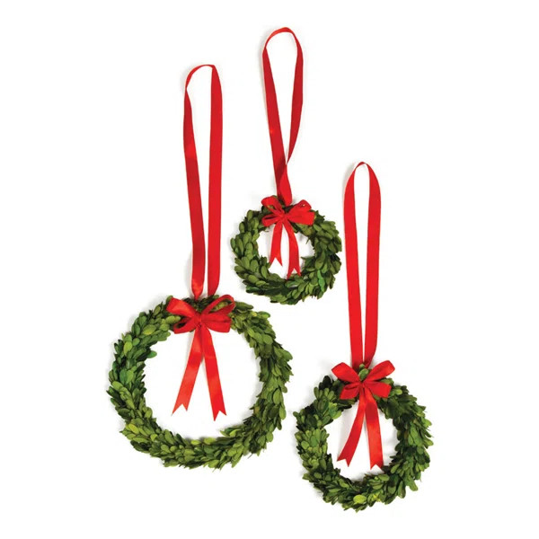 Preserved 10" Greenery  Wreath | Wayfair North America