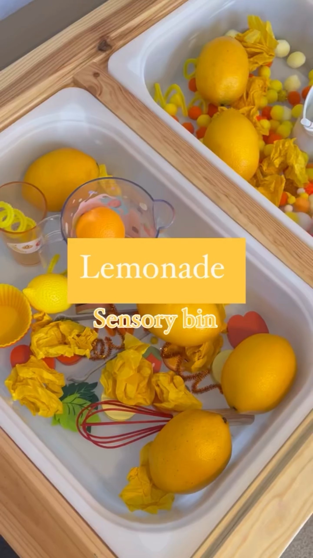 We kept the summer sensory bin theme going and switched out our ice cream bins for lemonade this past weekend 🍋 

For this one I tried to reuse items we already had, including: citrus colored pom poms, some pipe cleaners we turned into straws, tissue paper, baking cups for sorting colors, one of our favorite @target toys to mix up the lemonade, and some tongs and cups to practice pouring and picking up! We also threw in some fake lemons we have used as a vase filler 🤣

Shop my LTK page for similar items- I tried to link what I could! Link in bio or comment LEMONS☺️

#toddlermom #momlife #toddleractivities #parenting #toddlerlife #ot #occupationaltherapy #finemotorskills #sensory #sensorybin #sensoryactivity #summeractivities #summer #kidsactivities #sensoryplay #toddlerfun