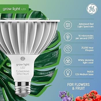 GE Grow LED Light Bulb, PAR38 Flood Light, Indoor LED Grow Lights for Flowers and Fruit, Advanced... | Amazon (US)