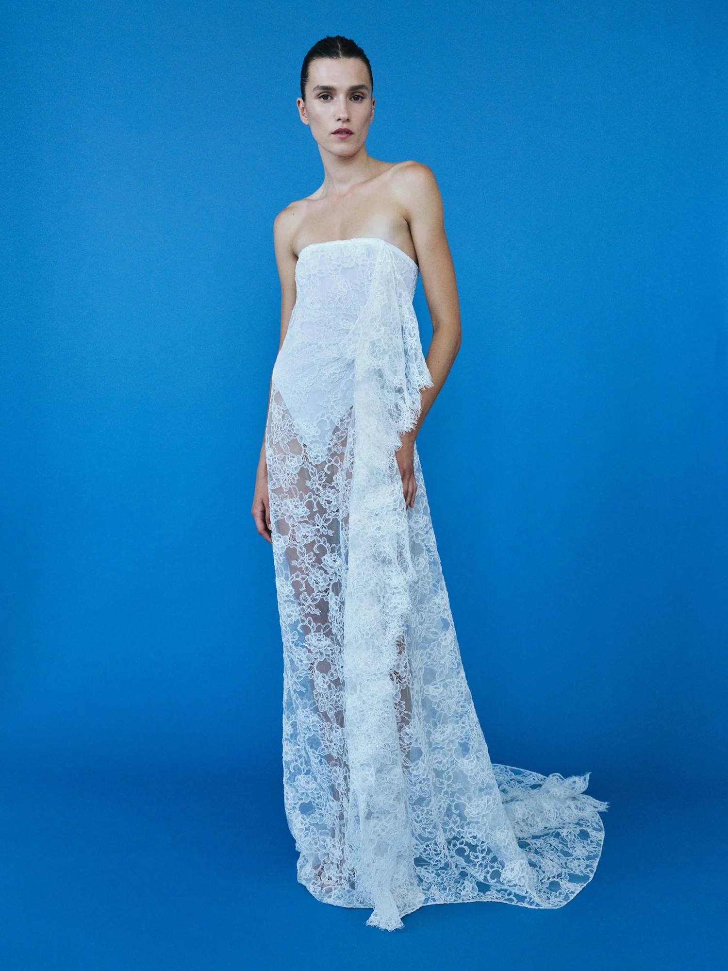 Christopher Esber | Floating Lace Strapless Gown | Christopher Esber (Global)