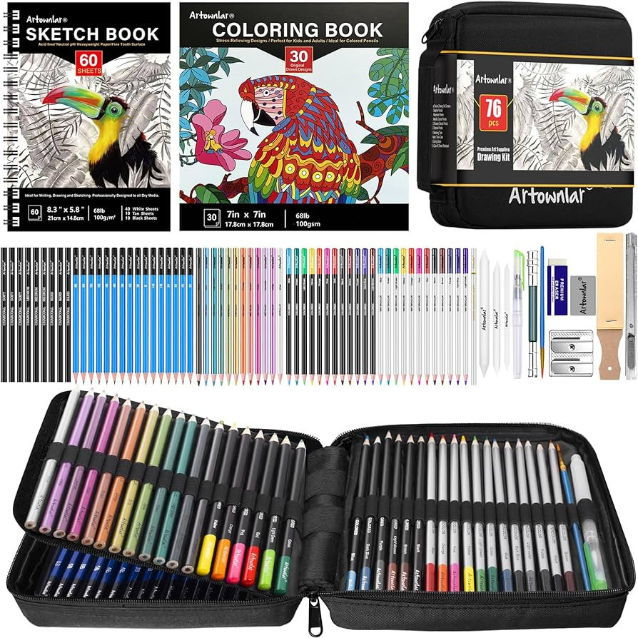 Artownlar 76 Art Set Drawing Supplies - Pro Sketching Kit for Artists Adults Teens Kids - Sketch ... | Amazon (US)