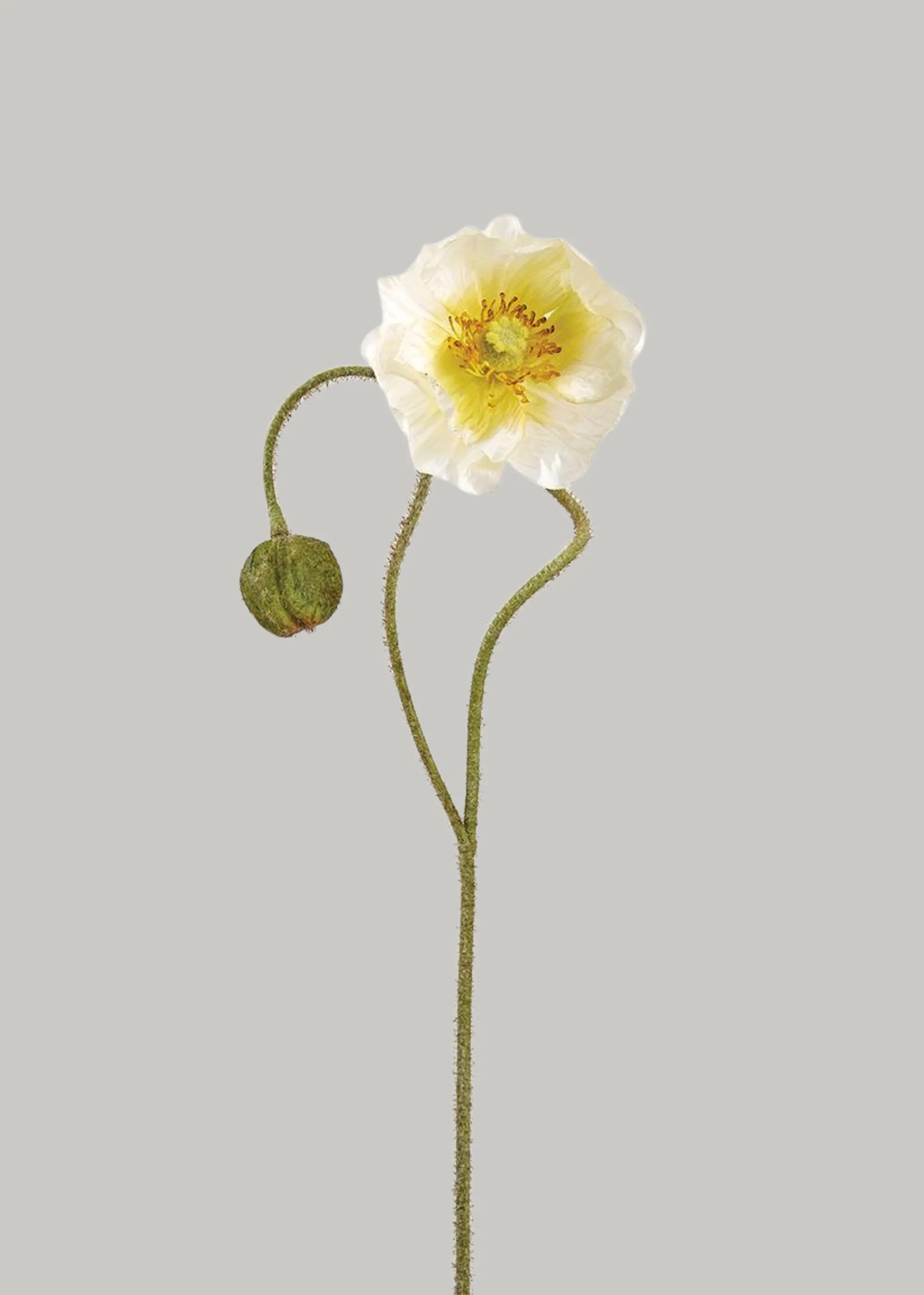 Artificial Poppy Flower Stem in Cream - 31" | Afloral