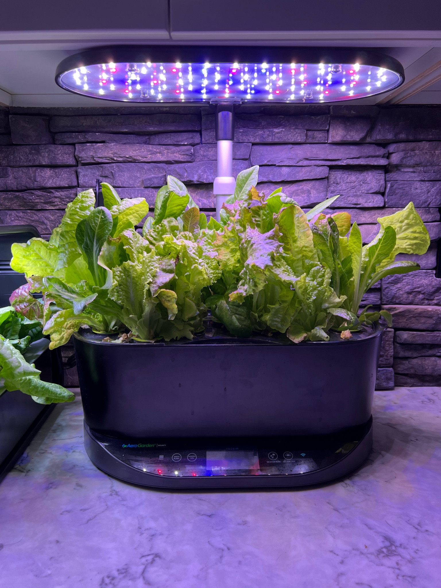 Mother’s Day idea!