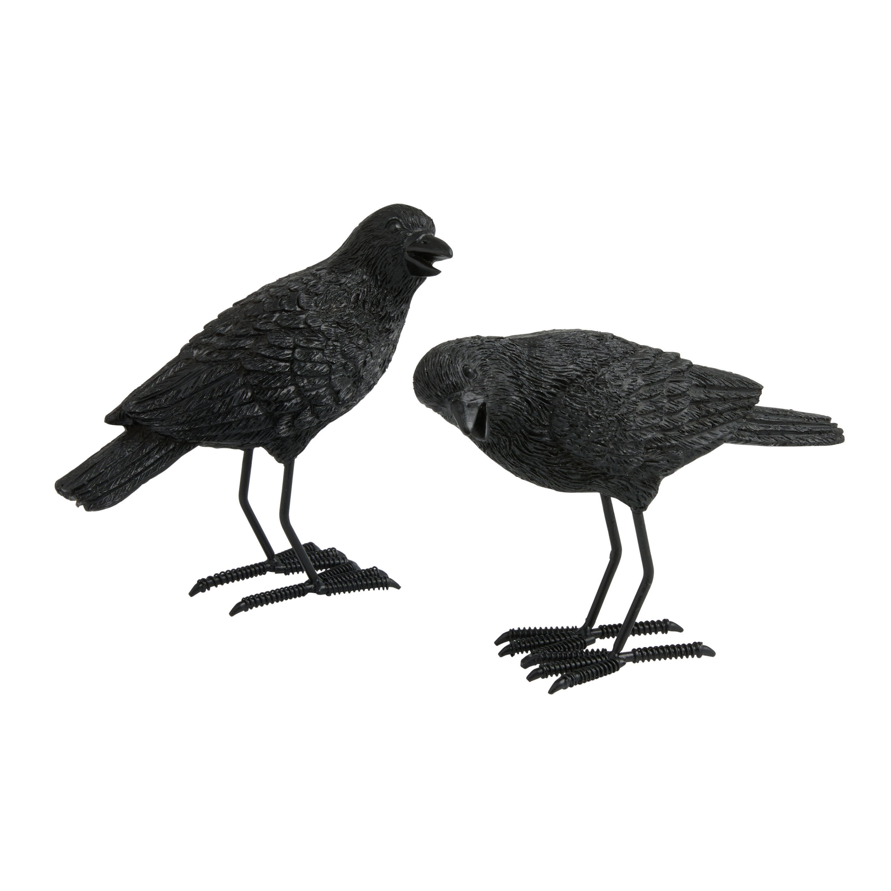 Black Resin And Iron Crow Decor Set Of 2 | World Market