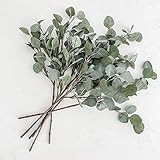 Eucalyptus Stem, Fake Eucalyptus, Artificial Eucalyptus, Silver Dollar Eucalyptus, Faux Eucalyptus,  | Amazon (US)