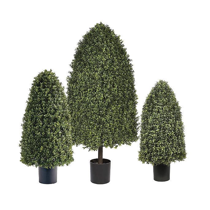 Rounded Cone Outdoor Boxwood Topiary | Frontgate | Frontgate