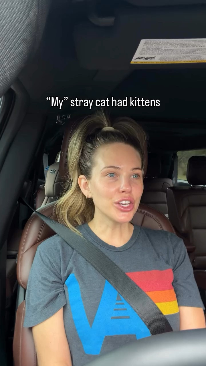 Nomad, a stray cat who just showed up here one day and we took in had kittens. 😅 Yes, I should have gotten her fixed. I even had the appointment scheduled for it, but something came up and I thought I had time to get her back in. I thought wrong!