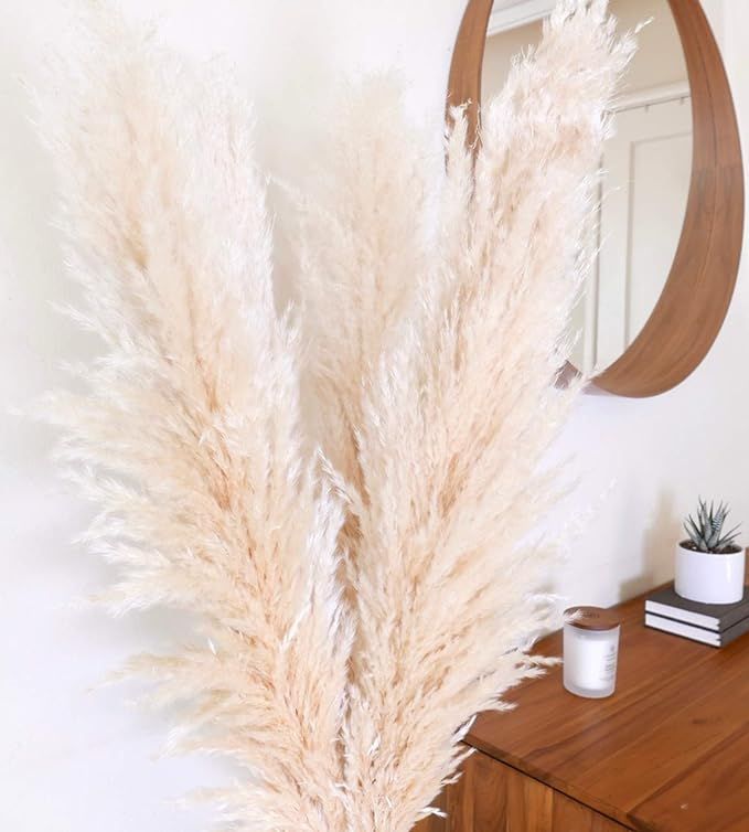 31Mod Pampas Grass Large with Tall Stems—3 Stems Large Pampas Grass (48" / 4ft), Natural Dried ... | Amazon (US)