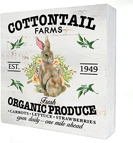 Cottontail Farms Easter Wood Box Sign Home Decor Rustic Spring Easter Bunny Wooden Box Sign Block... | Amazon (US)