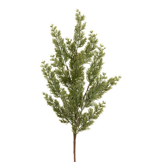 Frosted Sage Green Faux Pine Stem by World Market | World Market
