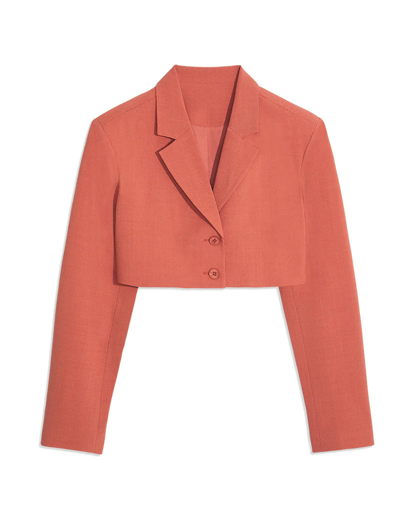 Cropped Suiting Blazer - Clay S | We Wore What