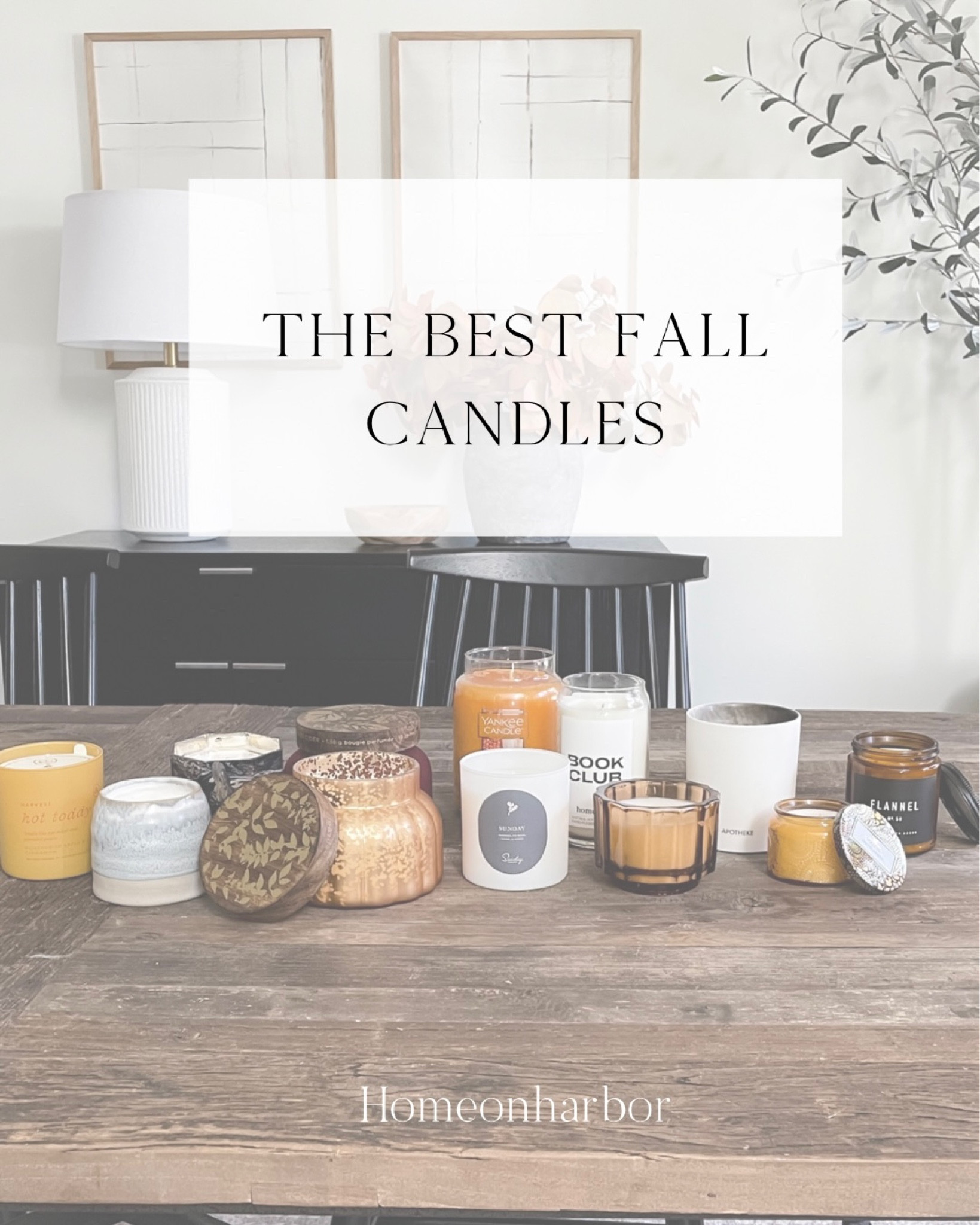 Rounded up and broke down more than 10 fall candle scents on homeonharbor.com! Head there to learn my favorites!



#LTKhome #LTKSeasonal #LTKunder50