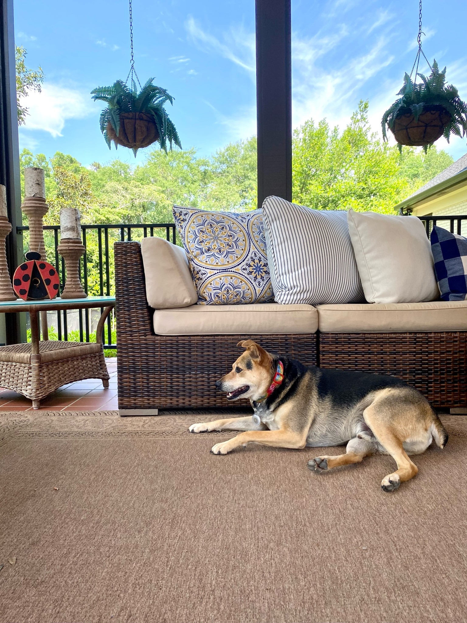 I love the way these pillow patterns look together ☀️ Mandela, ticking, solid & large check, so cute!

#LTKhome #LTKfamily #LTKstyletip